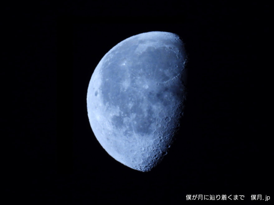 更待月