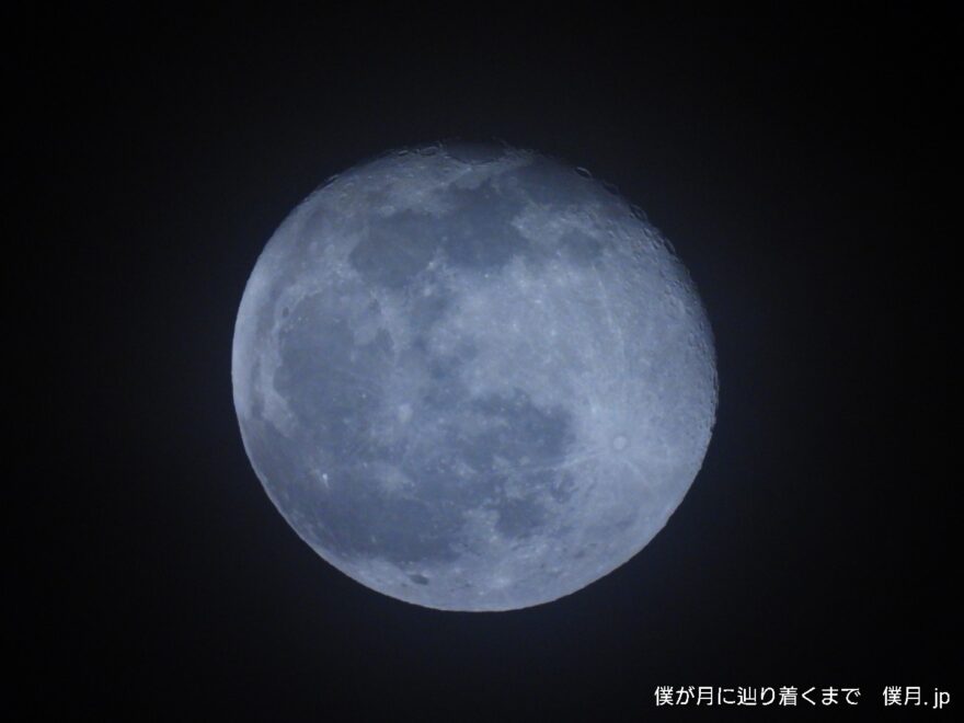 立待月