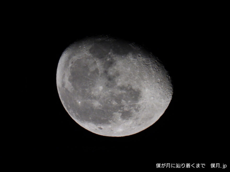 寝待月