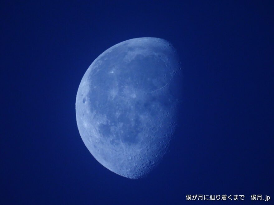 更待月