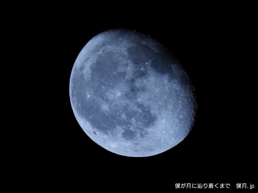 居待月