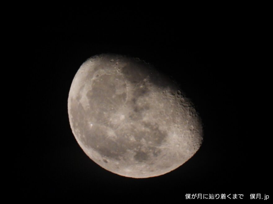 寝待月