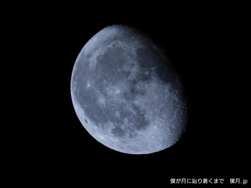 居待月
