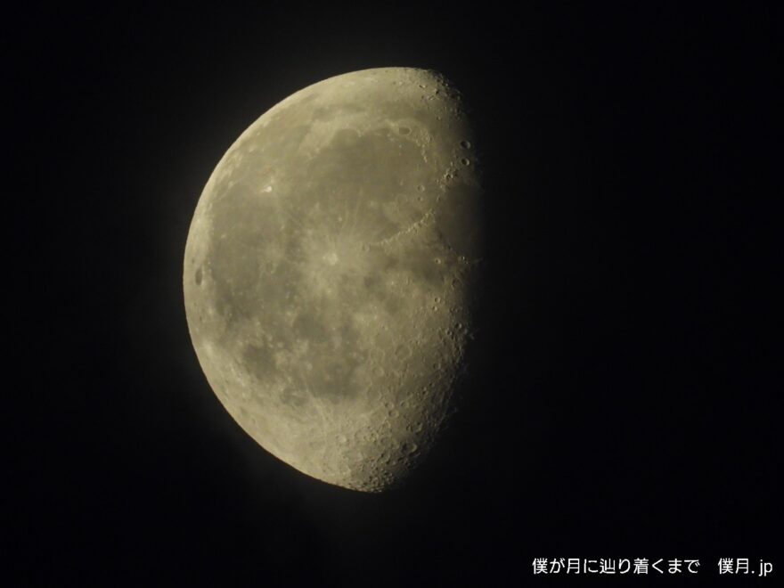 寝待月