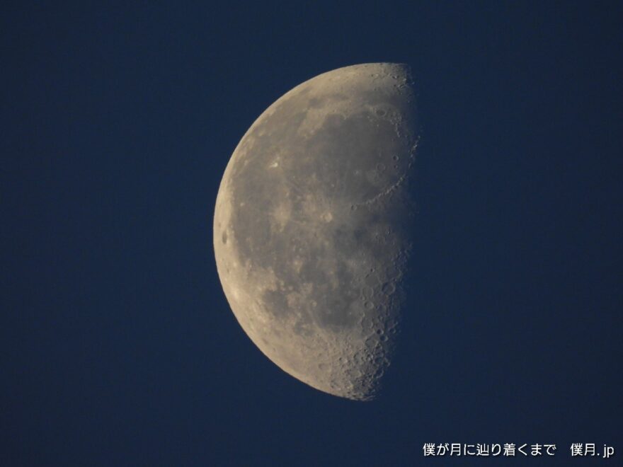 更待月