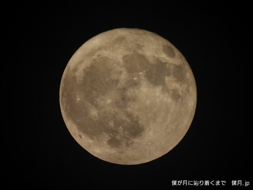 望月