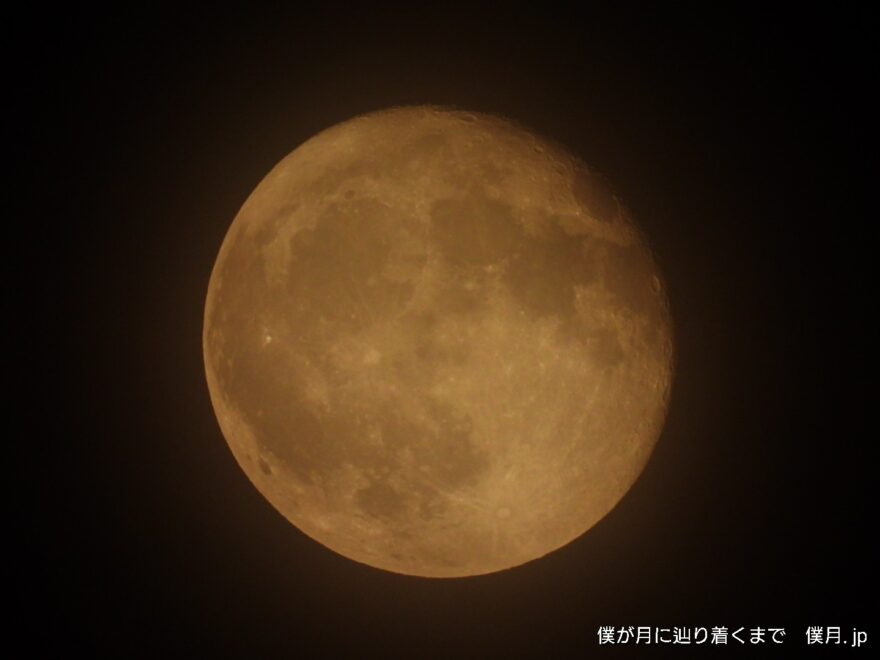 十六夜