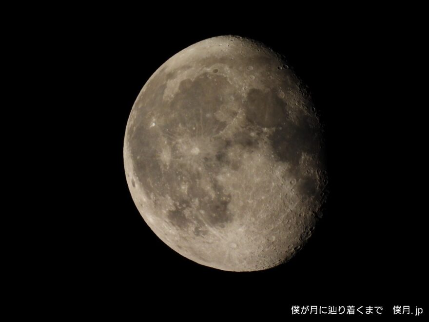 更待月