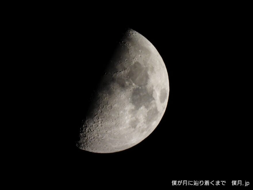 九夜月(上弦)