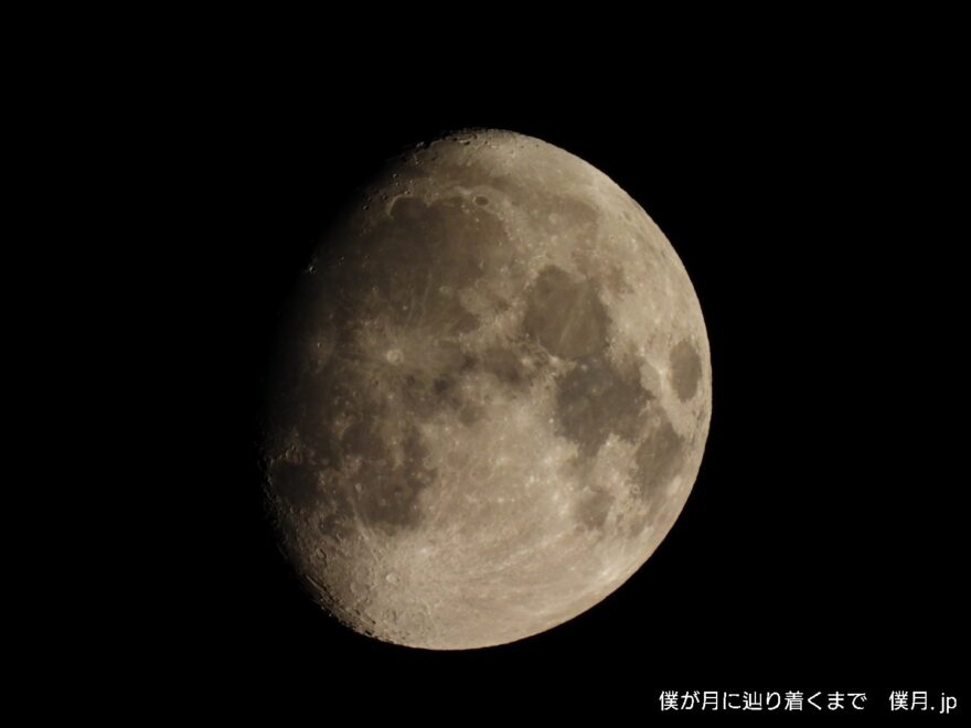 夏月