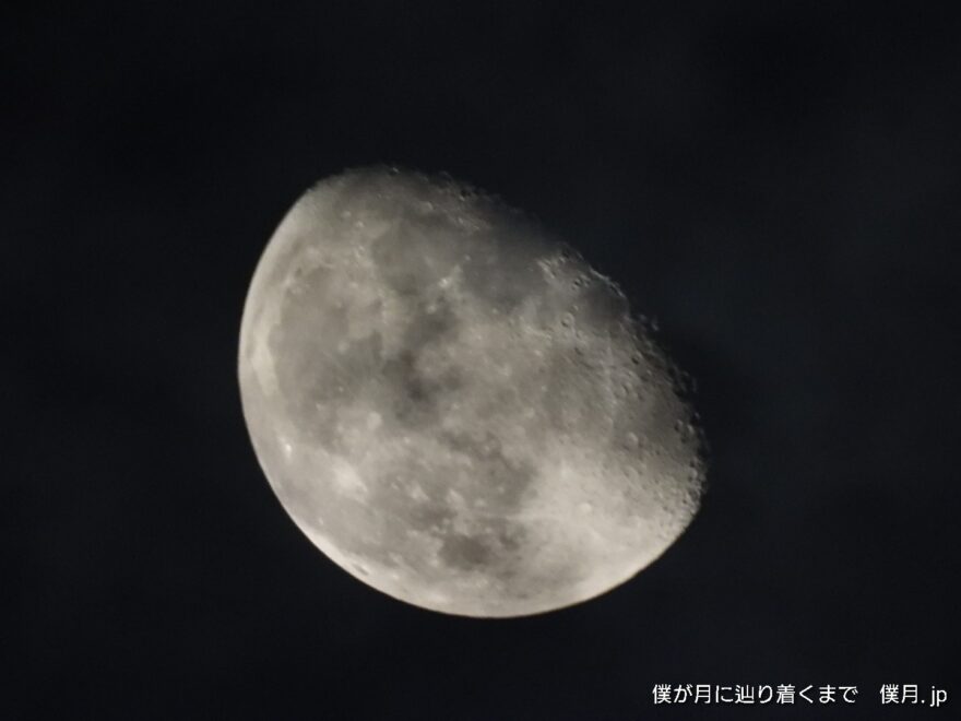 寝待月