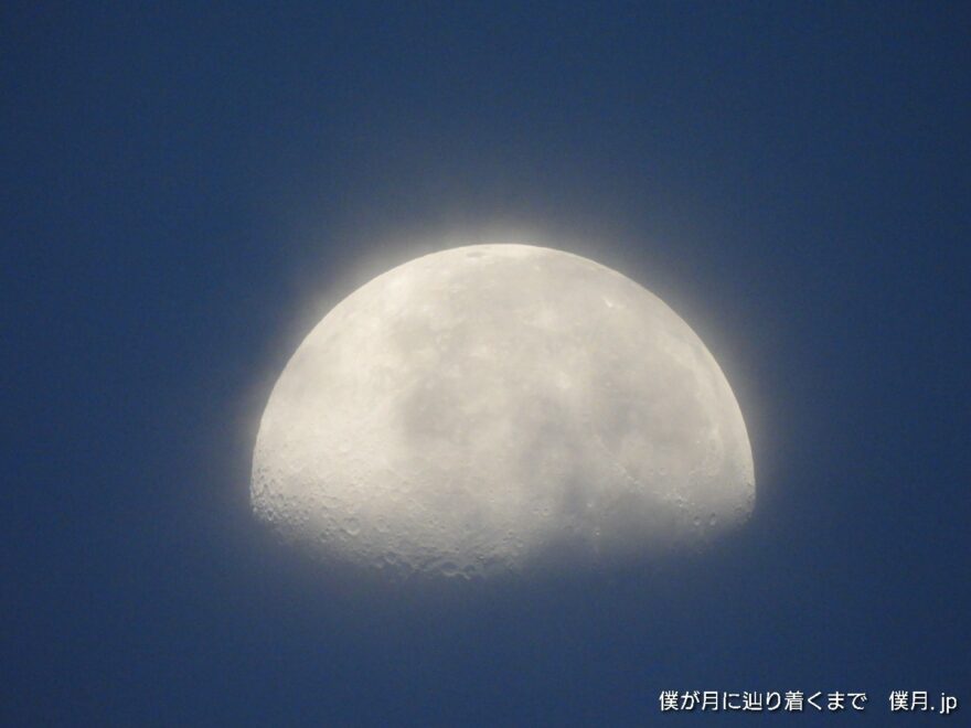 更待月