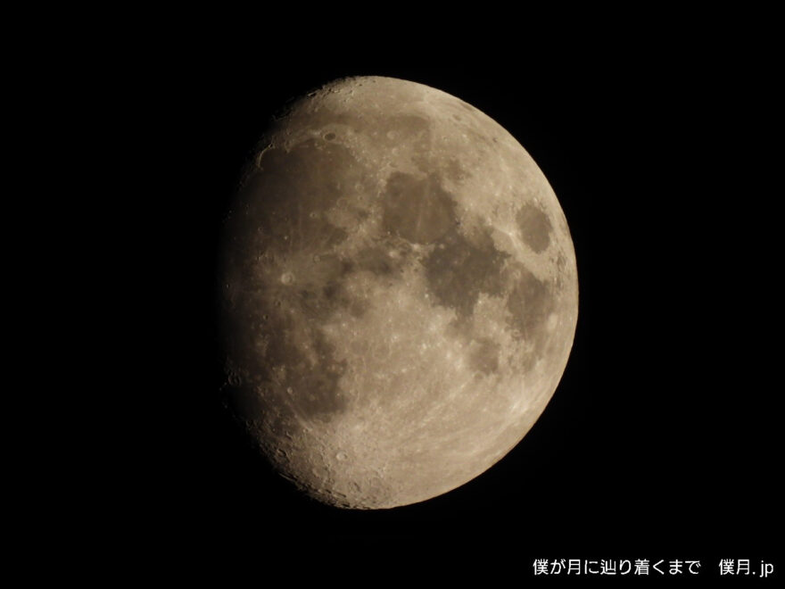 十二夜