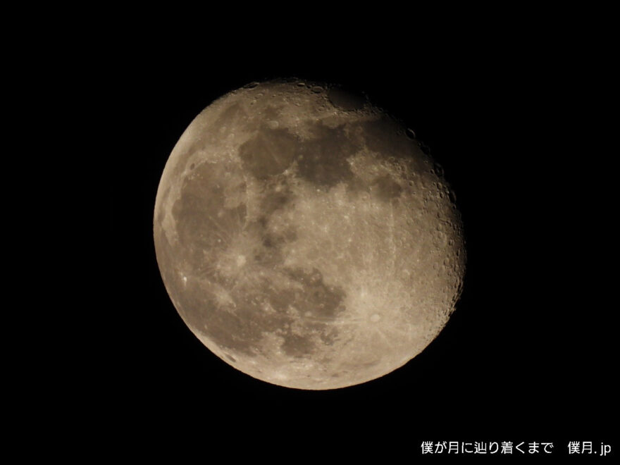 立待月