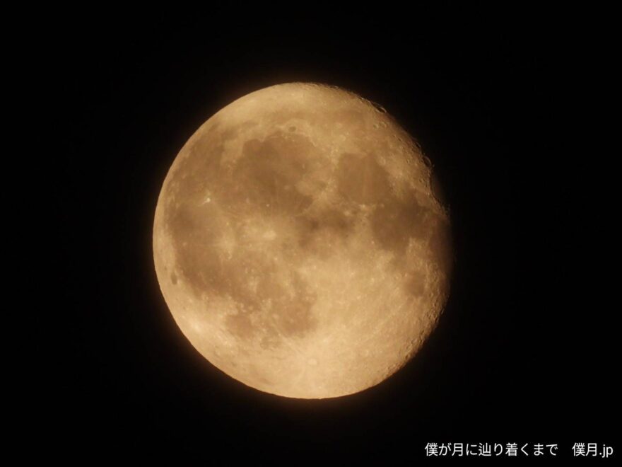 居待月(いまちづき)