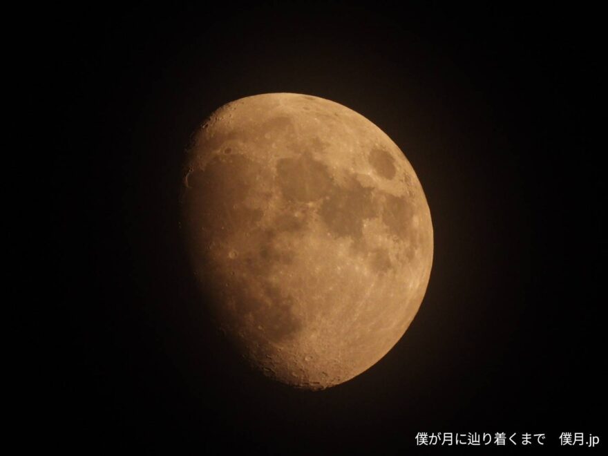 十二夜
