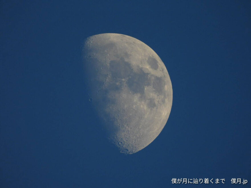 十日夜の月(とうかんやのつき)