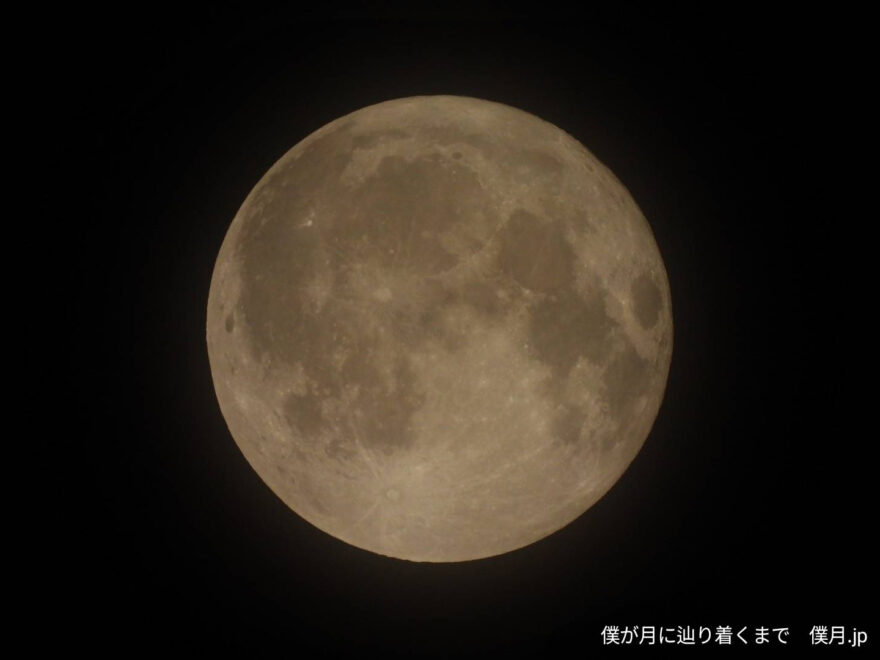 望月