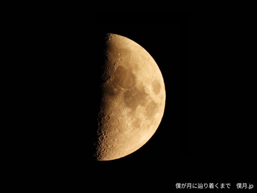 九夜月(上弦)