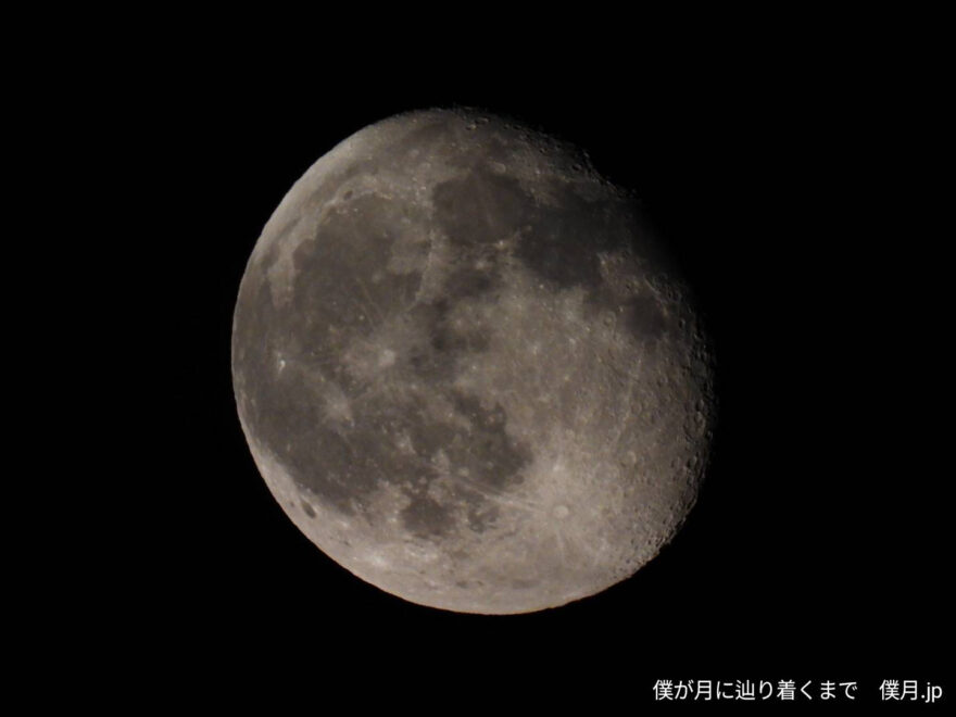 臥待月(ふしまちづき)