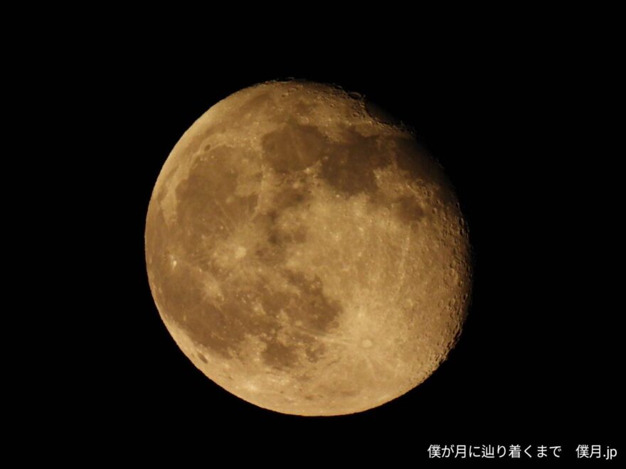 居待月(いまちづき)