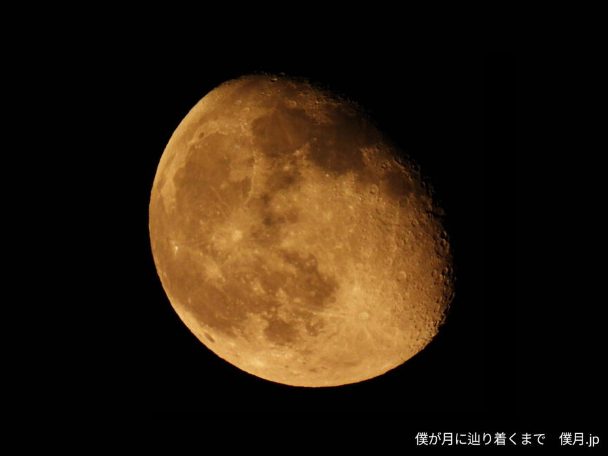 臥待月(ふしまちづき)