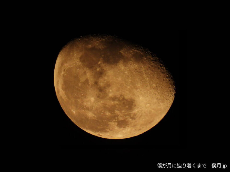 臥待月(ふしまちづき)