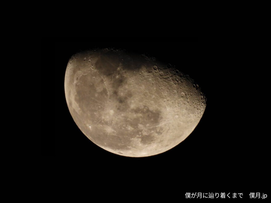 更待月(ふけまちづき)