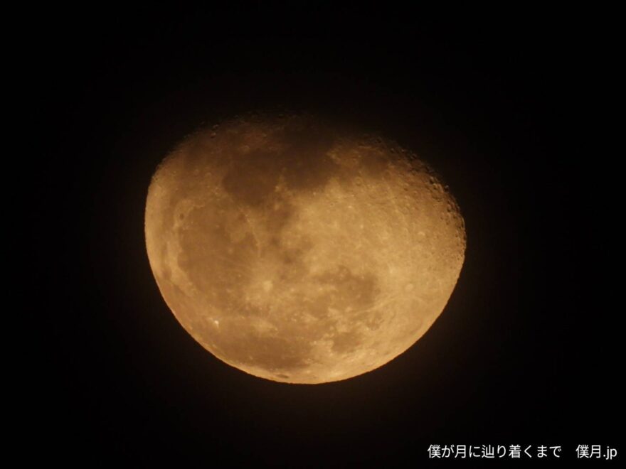 居待月(いまちづき)