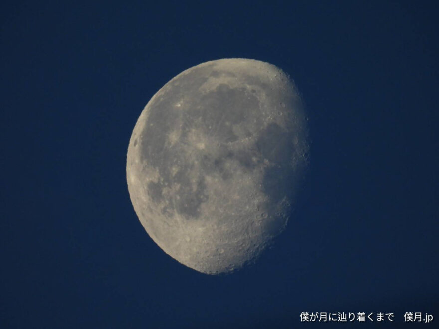 臥待月(ふしまちづき)