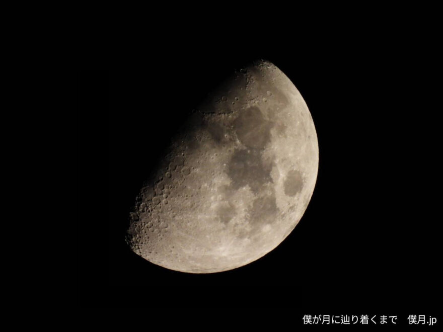 九夜月(くやづき)