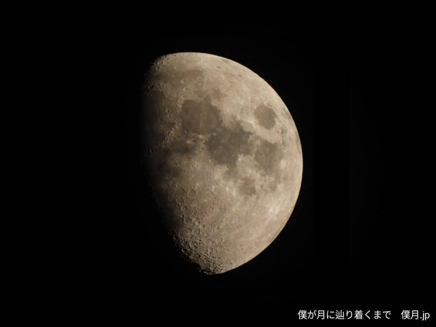 九夜月(くやづき)