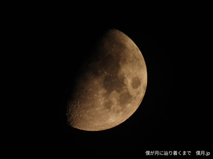 九夜月(くやづき)