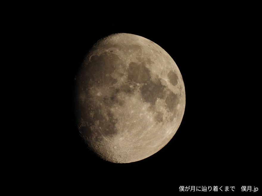 十二夜