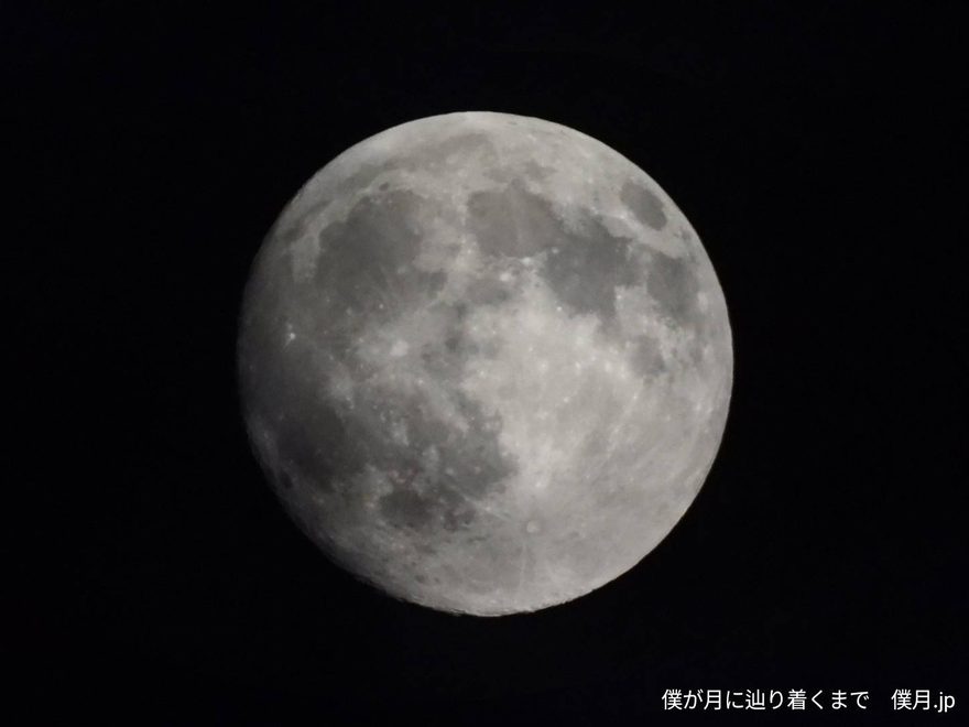 十五夜(中秋の名月)